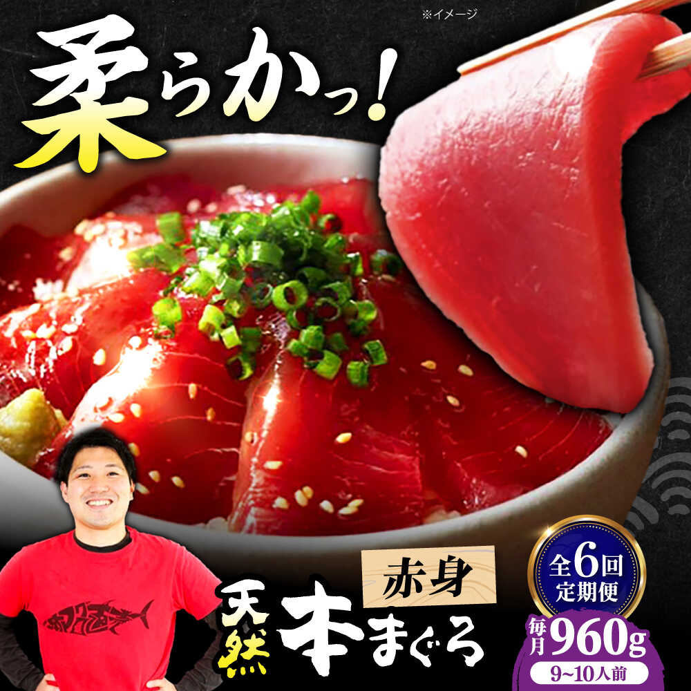 【ふるさと納税】【全6回定期便】極上！たね熟天然本まぐろ赤身(960g) 天然 マグロ 鮪 赤身 刺身 魚 魚介 大阪府高槻市/本まぐろ直売所[AOCE020]
