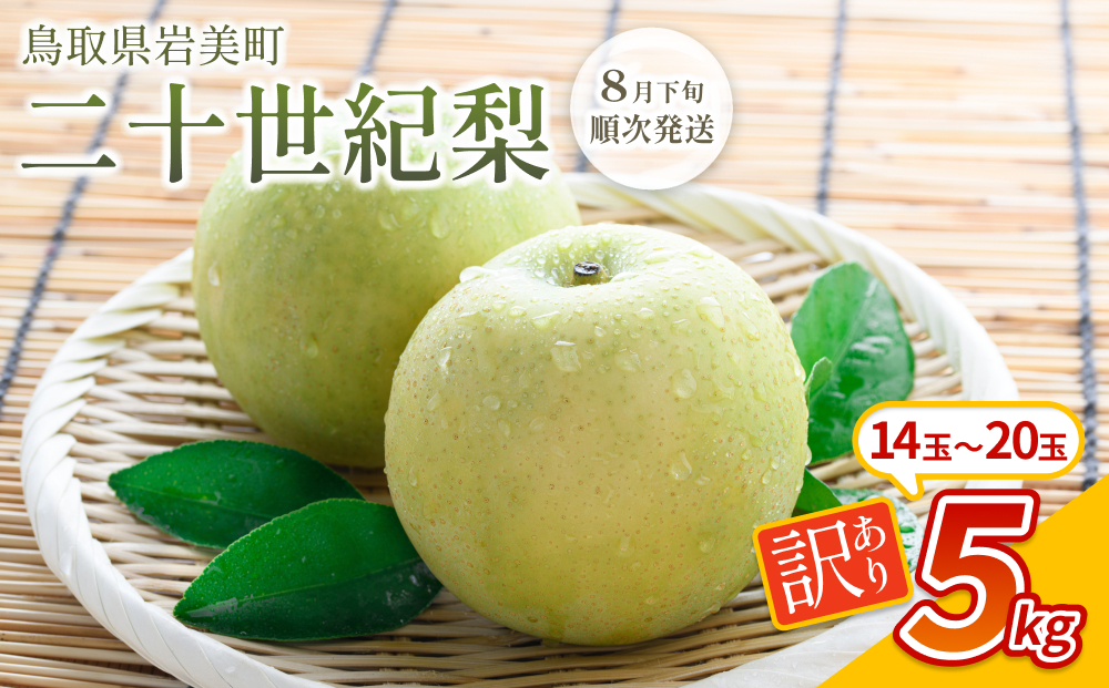 【先行予約】（訳あり）中野農園 梨 ”二十世紀梨” 5kg箱｜鳥取 岩美 梨 なし ナシ 20世紀梨 青梨 果物 フルーツ ※お届けは2026年8月下旬頃～【41027】