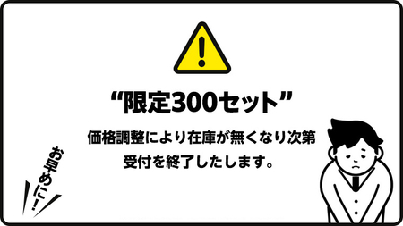 【  6ヶ月 連続 定期便 】 カゴメ 濃厚リコピン 食塩無添加 トマトジュース 195ml × 24本 カゴメトマトジュース KAGOME トマト ジュース 紙パック 食塩 無添加 無塩 トマト10