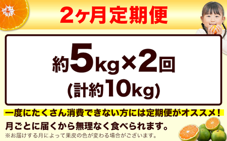 【2ヶ月定期便】訳あり みかん 小玉みかん くまもと小玉みかん 5kg (2.5kg×2箱)   秋 旬 不揃い 傷 ご家庭用 SDGs 《10月-11月出荷》小玉 たっぷり 熊本県 産 S-3Sサイ