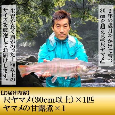 ふるさと納税 三股町 尺ヤマメプレミアムと甘露煮セット【MI020】 |  | 01