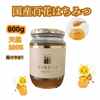 ふるさと納税 志木市 富士見養蜂園の国産百花はちみつ800g　天然100%