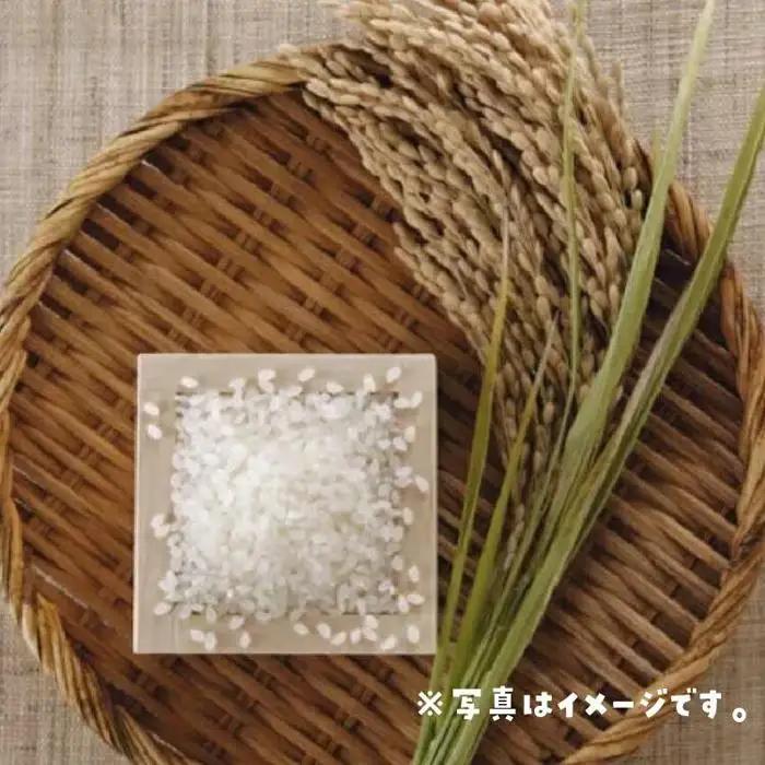 米 ミルキークイーン 令和7年産 鳥取県産 3kg 米