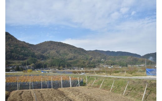  【きよとうファーム】果樹園の品種を楽しむ果実ジャム 3種 (岡山県産) 【KF-K004-01】
