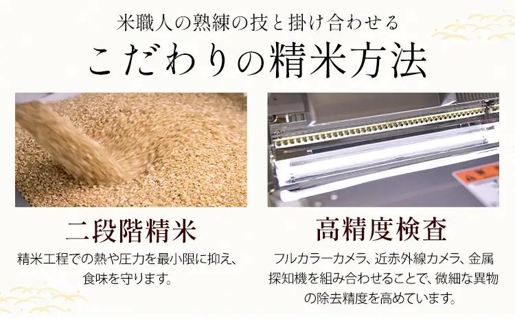 無洗米 せきゆらり 5kg 12ヶ月 定期便 熊本県産 国産 無洗