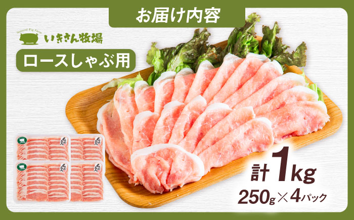 一貴山豚 ロースしゃぶ用 計1kg(250g×4p) 糸島市 / いきさん牧場 豚肉 冷凍 [AGB045]