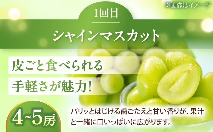 かき カキ ブドウ 葡萄 いちご 苺 イチゴ 果物 フルーツ 国産 産地直送 甘い ジューシー 愛媛 愛媛県 内子町 四国