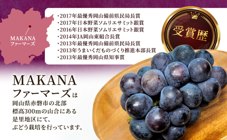ぶどう 2026年 先行予約 オーロラ ブラック 2房（1房600g～700g） シャインマスカット