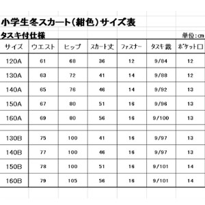 学生服 小学生 イートン＆冬スカート（タスキ付）2点セット 日本被服株式会社（ スクール制服 服 女子 女性 ウィメンズ ファッション 岡山県 倉敷産 返礼品 ） 150A サイズ