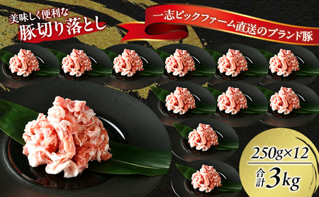 豚肉 一志SPポーク 豚切り落とし 小分け 国産 豚肉【250g×12P 計3kg】【冷凍】