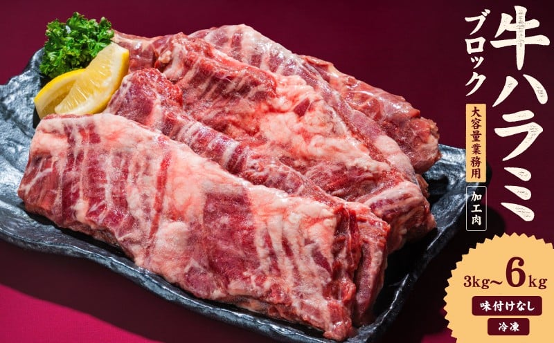 
                  牛ハラミ ブロック 3kg / 6kg タンブリング加工 牛ハラミ はらみ 牛肉 肉 個包装 冷凍 焼肉 焼き肉 BBQ バーベキュー ステーキ 丼物 簡単調理 炒め物 家庭用 業務用 人気 お取り寄せ 愛媛県 松山市
                