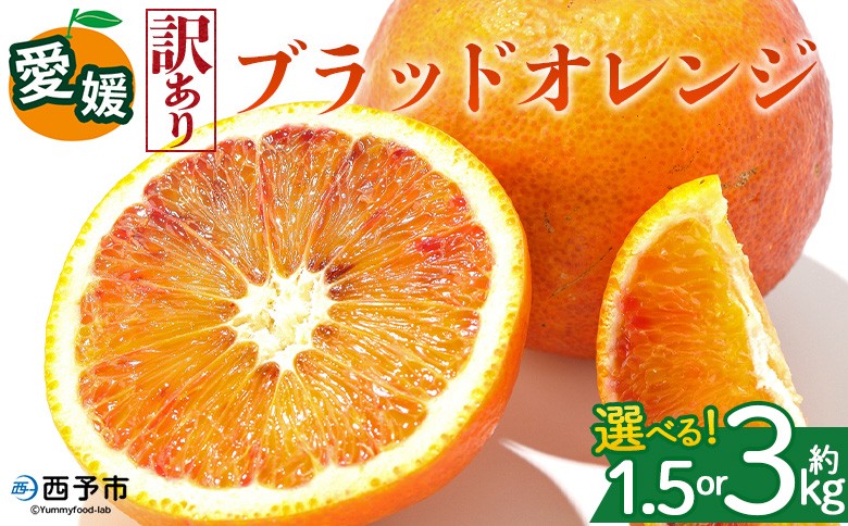 
                  ＜【訳あり】愛媛県産 ブラッドオレンジ 約1.5kg／3kg＞『2027年2月下旬～3月下旬迄順次発送予定』 選べる 容量 内容量 わけあり ジューシー みかん 蜜柑 果物 くだもの フルーツ ミカン 果汁 国産 特産品 株式会社三代目みかん職人 愛媛 西予市【冷蔵】
                