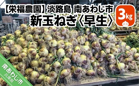 新玉ねぎ　淡路島南あわじ市 3kg 早生　◆配送4月下旬～5月下旬