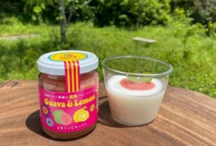 玄米パンケーキの素 200g×1袋、完熟フルーツソース1個セット 【米粉 グルテンフリー ホットケーキ有機グアバ農園】