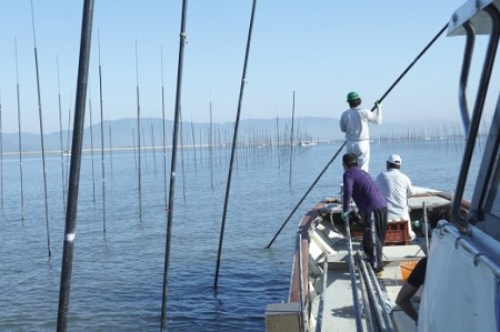 初摘み美香舞と香味干しの詰合せ：B027-012