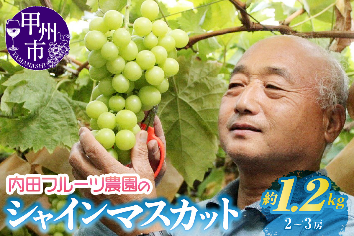 
                  内田フルーツ農園のシャインマスカット 約1.2kg（2～3房）【2026年発送】（UF）B-164 【シャインマスカット 葡萄 ぶどう ブドウ 令和8年発送 期間限定 山梨県産 甲州市 フルーツ 果物】
                