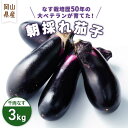【ふるさと納税】朝採れ茄子 3kg TY0-0338