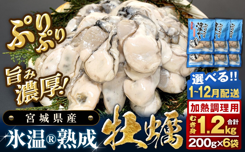 
                  《 配送月 が 選べる 》 【 加熱用 】 氷温熟成かき 6袋 （ 1袋 200g ） むき身 1.2kg 小分け むき カキ 冷凍かき 加熱用 加熱 宮城 小分け 冷凍 バラバラ冷凍 冷凍カキ かき 牡蠣 海鮮 魚介 貝類 海の幸 BBQ 家庭用 まるたか水産 宮城県 石巻市
                