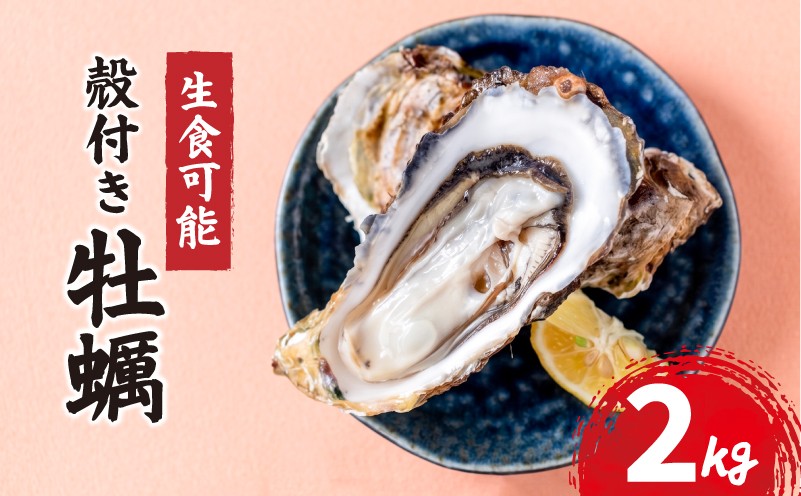 
                  宮城県産 殻付き牡蠣 2kg 冷凍 生食可能 牡蠣 かき カキ オイスター 冷凍カキ 冷凍かき 生牡蠣 殻付牡蠣 冷凍牡蠣 海鮮 魚介 貝類 海の幸 BBQ バーベキュー 家庭用 真牡蠣 三陸牡蠣 蒸し牡蠣 焼牡蠣 牡蠣鍋 つまみ カンカン焼き ガンガン焼き 宮城県 岩沼市 送料無料
                