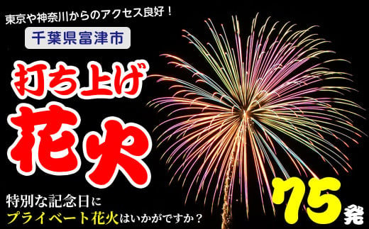 
プライベート花火（個人向け打ち上げ花火） 2～4号玉 計75発
