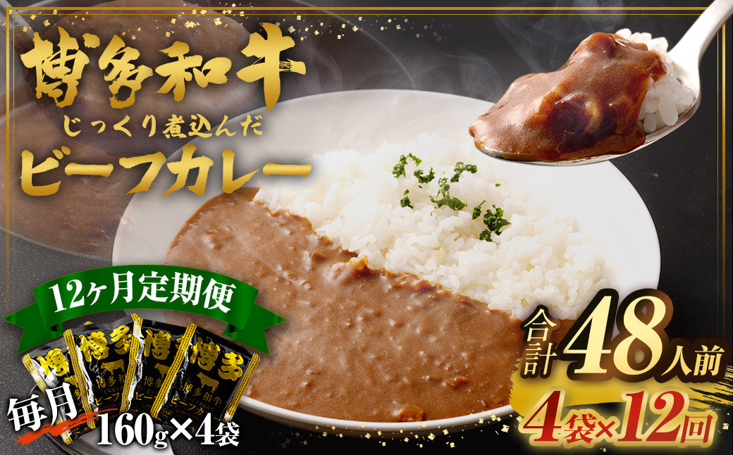 
【12ヶ月定期便】【福岡県産博多和牛使用】博多和牛 じっくり煮込んだビーフカレー レトルト 4人前 ×12回 カレー 定期 和牛 カレー
