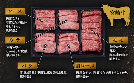 【宮崎牛＆宮崎県産豚肉】焼肉10種盛り　食べ比べセット計600g　国産牛肉　国産豚肉　ミヤチク＜1.1-7＞