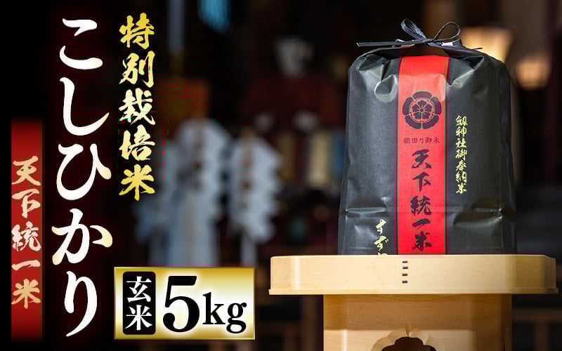 
            【先行予約】【令和7年産・新米】特別栽培米 こしひかり 5kg（玄米）「天下統一米」 【2025年10月より順次発送予定】 【お米 福井県産 劔神社 御奉納米 コシヒカリ 数量小限定 勝負めし】 [e35-a044]
          
