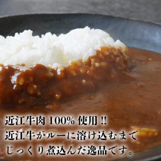 近江牛 カレー 160g×15袋セット ( レトルトカレー,近江牛カレー,2400g, 黒毛和牛カレー,国産,ふるさと納税, 牛肉カレー,黒毛和牛,ブランド牛,肉カレー,ギフト,自宅用,三大和牛,和牛