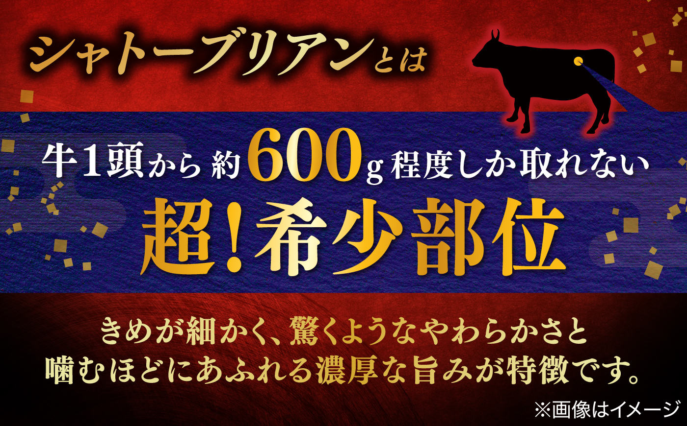 しまね和牛シャトーブリアン 200g×2枚 島根県松江市/有限会社宮本食肉店 [ALCV011]