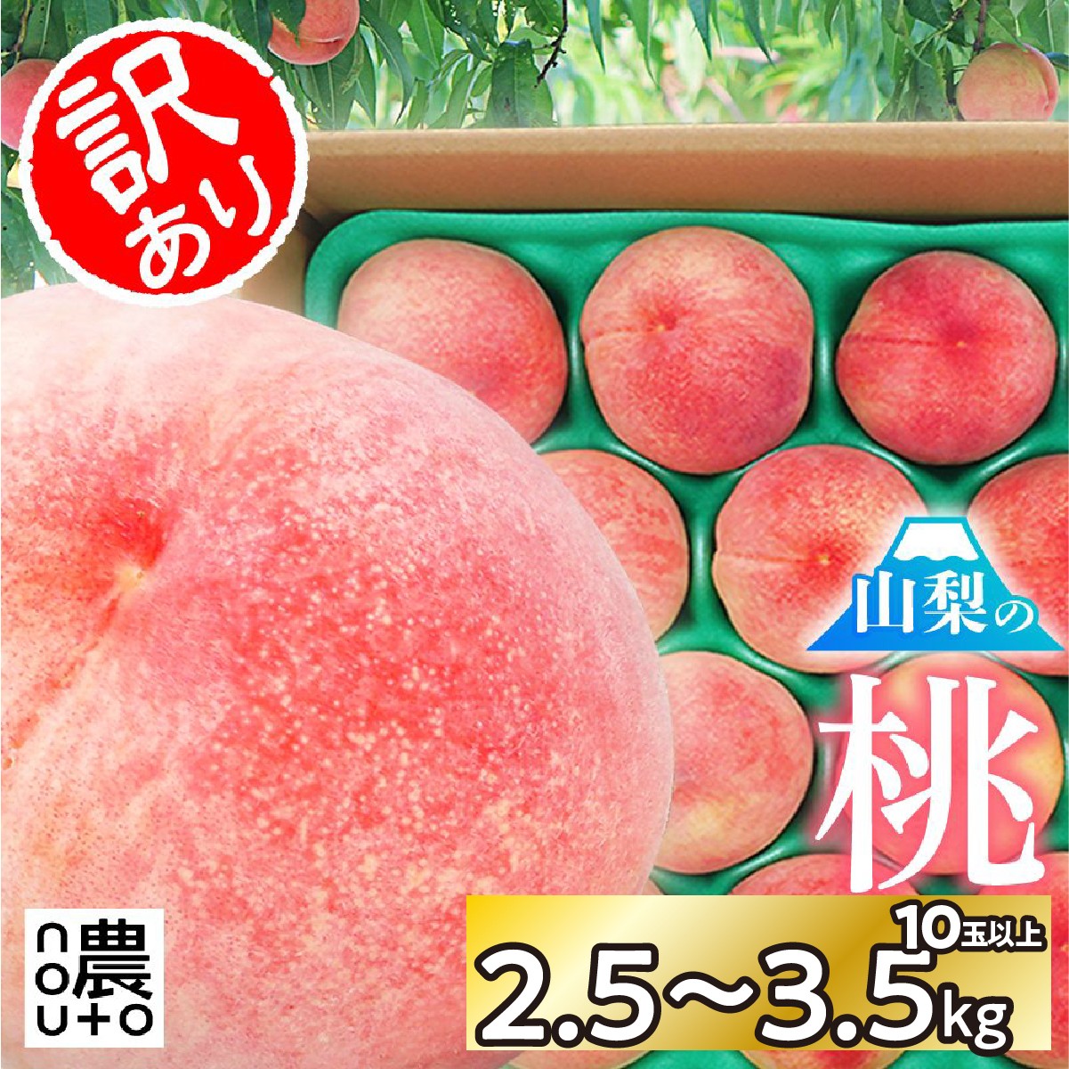 
                  【2026年発送★先行予約】訳あり桃10玉以上　2.5㎏～3.5㎏ 154-049　※クール便
                