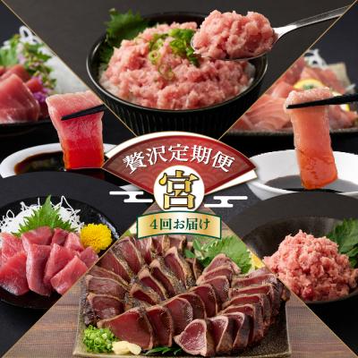 ふるさと納税 室戸市 【贅沢定期便「宮」/全4回】タカシン水産厳選 高知の海鮮セット |  | 03