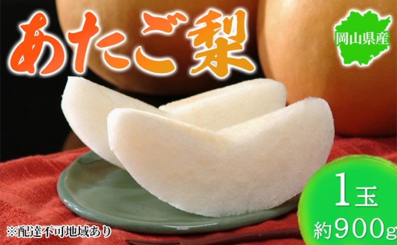 梨 2026年先行予約 岡山県産 あたご梨 約900g 1玉 お届け11月下旬～12月中旬
