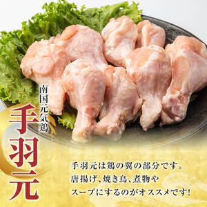 鹿児島県産！南国元気鶏 手羽元+砂肝スライスセット(合計5kg) 国産 鹿児島県産 鶏肉 肉 お肉 手羽元 砂肝スライス 南国元気鶏 小分け 小パック おかず おつまみ Jセット【さるがく水産】akn