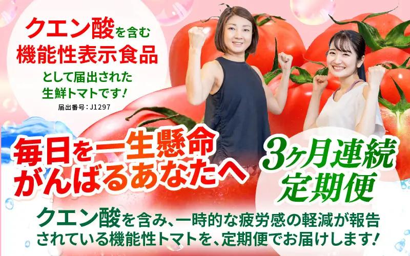 定期便 ≪3ヶ月連続お届け≫ クエン酸トマト習慣便 みつぼしトマト クエン酸 約400g × 2袋 × 3回 (計2.4kg) とまと 機能性表示食品 [A-2618]