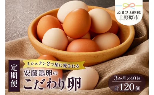 【卵 3ヶ月定期便】たまご 卵 定期便 お楽しみ 生卵 卵かけご飯 高級 高級卵 濃厚鶏卵 新鮮 セット ミシュラン こだわり卵 120個 プレゼント 贈答 贈り物 送料無料 山梨県 上野原市