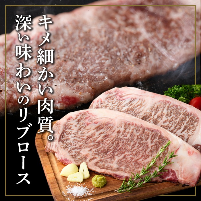 isa642 【定期便6回】黒毛和牛ステーキ定期便(合計5.1kg) 真空包装 真空パック リブロース サーロイン ステーキ 牛 うし 牛肉 アウトドア 食べ比べ BBQ 冷凍 【サンキョーミート株式会社】