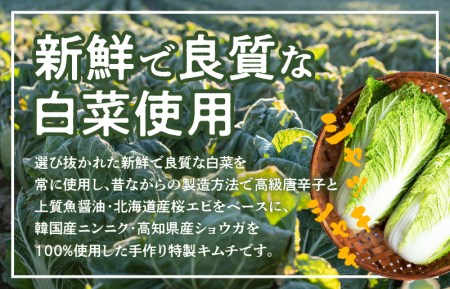 白菜キムチ1kg 高評価 リピーター続出 期間限定