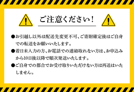 ブリと真鯛の新鮮お刺身セット　少量お試しパック N019-ZA0365