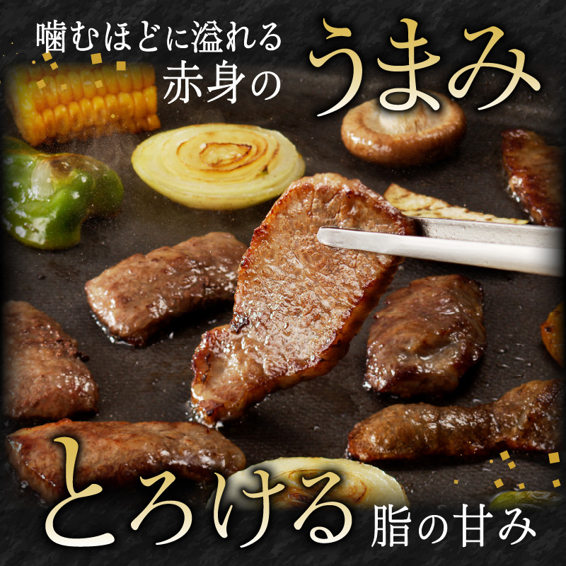 宮崎牛焼肉　900g(450g×2)（A5等級）　N061-YZB802