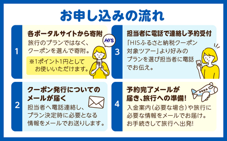 【15,000円分】大分県 別府市 の 対象ツアー に 使える HIS ふるさと納税 クーポン 寄附額50,000円 ツアー 宿泊 旅行 旅 トラベル お出かけ 温泉 家族旅行 観光 ホテル 旅館 温