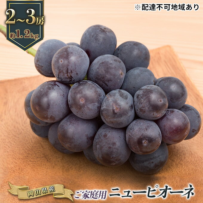 【ふるさと納税】ぶどう 2026年 先行予約 ご家庭用 ニュー ピオーネ 2～3房 合計約1.2kg ブドウ 葡萄 岡山県産 国産 フルーツ 果物 ギフト　お届け：2026年9月上旬～2026年10月上旬