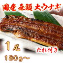 【ふるさと納税】国産うなぎ　備長炭地焼き蒲焼き180g以上×1尾　タレ付き×1 国産 鰻 ウナギ 土用の丑の日 グルメ 国内産 冷凍 タレ付き 送料無料 プレゼント 贈り物 ギフト