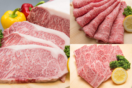 「佐賀牛」プレミアムセット（ステーキ200g×8・焼肉用700g・スライス700g）H-306