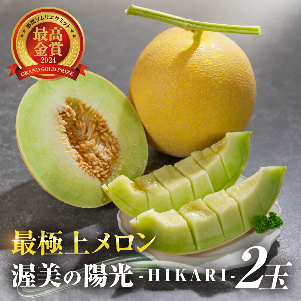 【ふるさと納税】 先行予約 極上メロン 渥美の陽光-HIKARI- メロン 2玉 数量限定 渥美半島 田原市 お取り寄せ 産地直送 送料無料 メロン 糖度 メロン 青肉