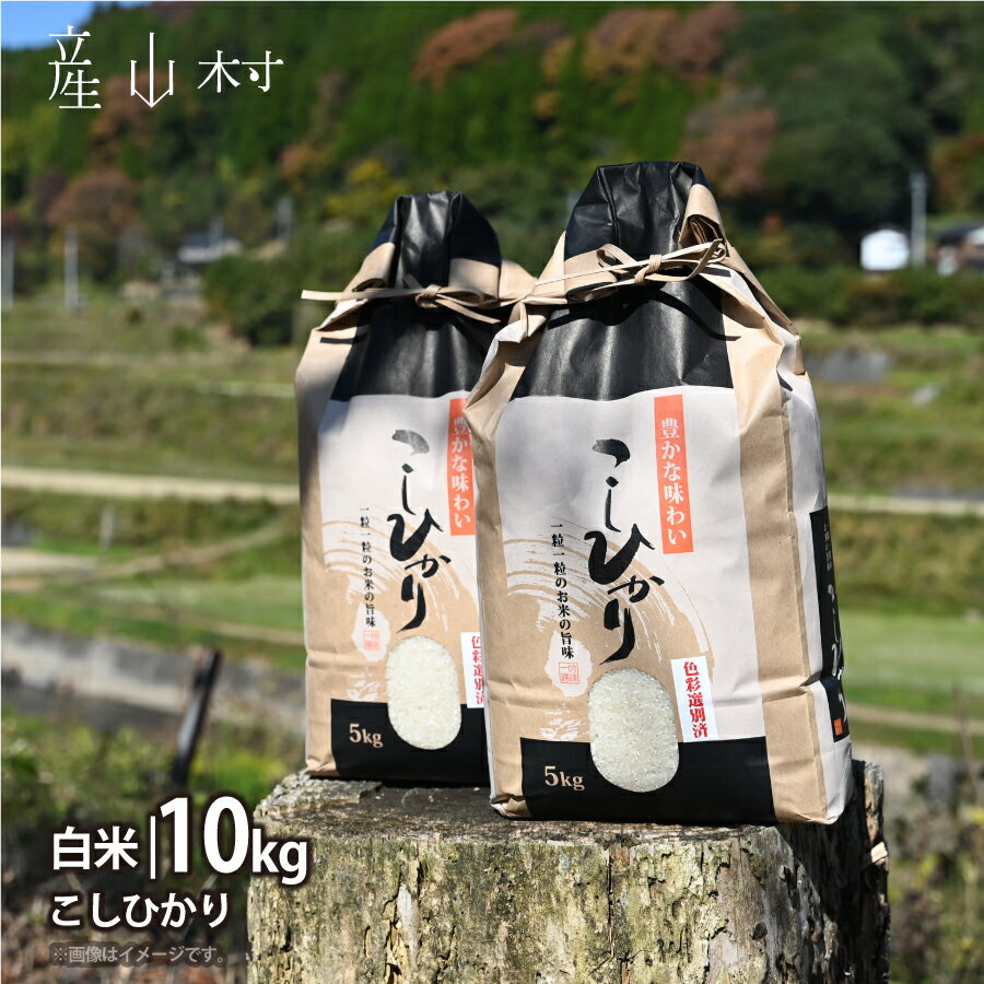 【ふるさと納税】令和6年産 うぶやまのコシヒカリ10kg(5kgx2) 熊本 阿蘇 産山村 こしひかり コシヒカリ 池山水源 《30日以内に出荷予定(土日祝除く)》