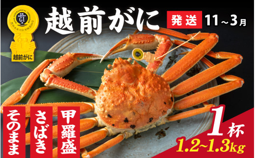 【先行予約】選べる！美味しさ直送【成前特選】越前かに（1.2kg～1.3kg）×1杯【11月～3月発送】姿  [O-028021_06] / 福井県 福井 オス 雄 ズワイガニ ボイル 冷蔵 越前ガニ 越前がに 越前カニ ずわいがに ずわい蟹 かに カニ 蟹 指定 茹で 姿 甲羅盛