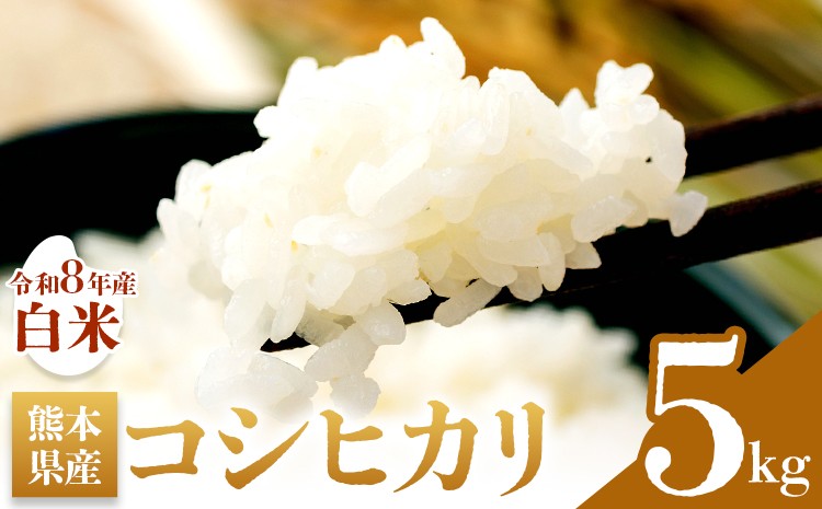 米 白米 コシヒカリ 令和8年産 5kg 森田農園《8月末から順次出荷》 熊本県 苓北町 米 こめ コメ 熊本県産 こしひかり コシヒカリ 白米 天草