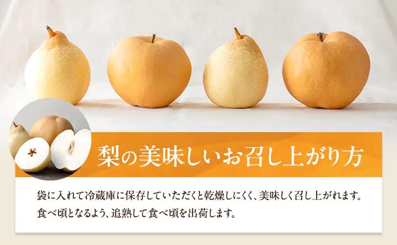 梨詰合せ あたご梨・鴨梨 ヤーリー 岡山県産 梨詰合せ【約4.5kg あたご2～3玉 鴨梨3～7玉】【先行予約】