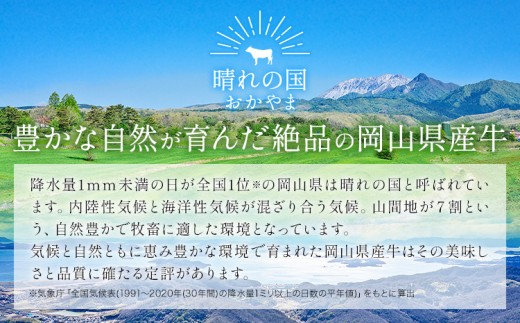 【3ヶ月定期便】牛肉 国産 切り落とし ミンチ セット 家計応援 岡山県産牛 交雑牛 2kg×3回 小分け 1パック250g《お申し込み月の翌月から出荷開始》岡山県 浅口市 肉 こま切れ ひき肉 グル