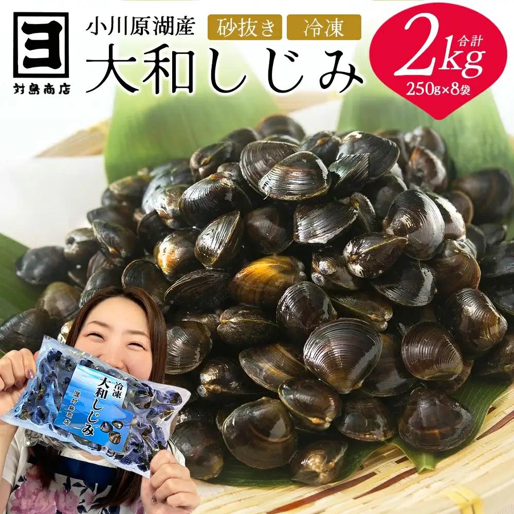 砂抜き済みで手間いらず！冷凍・小川原湖産大和しじみ 2kg（250g×8袋）　【02408-0074】